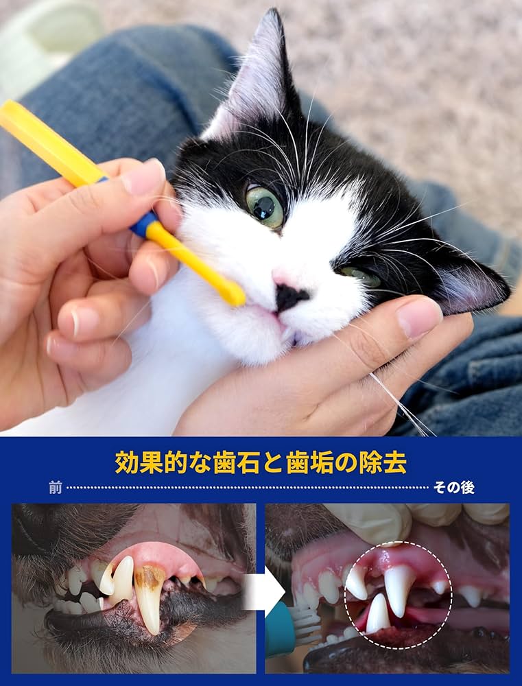 petyプレミアム消臭ブラウン Amazon | 【劇的に消える！】野口商事 強力パワー 消臭剤